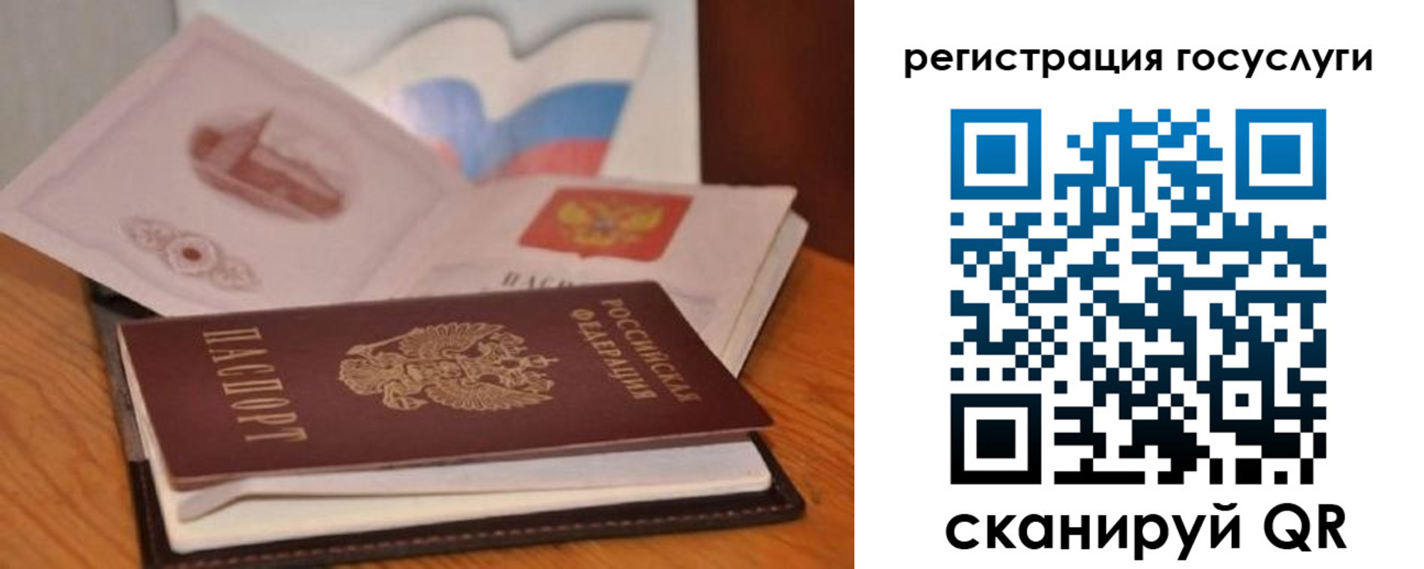 прописка законно в Шадринске
